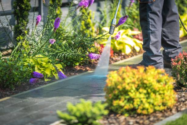 Best Spring Cleaning  in Kent, OH